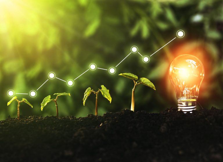 SEMMADA realiza entrega do Selo Verde e Certificado Amigo do Meio Ambiente.