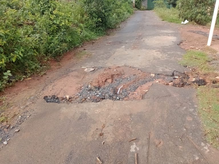Radio Noticia: Moradora do Bairro Jardim Paraíso Cobra Ações Urgentes.