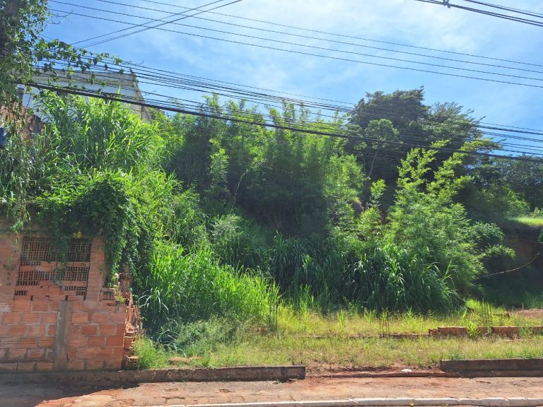 Radio Noticia: Lote abandonado na Av. Cabo Benedito Alves gera reclamações.