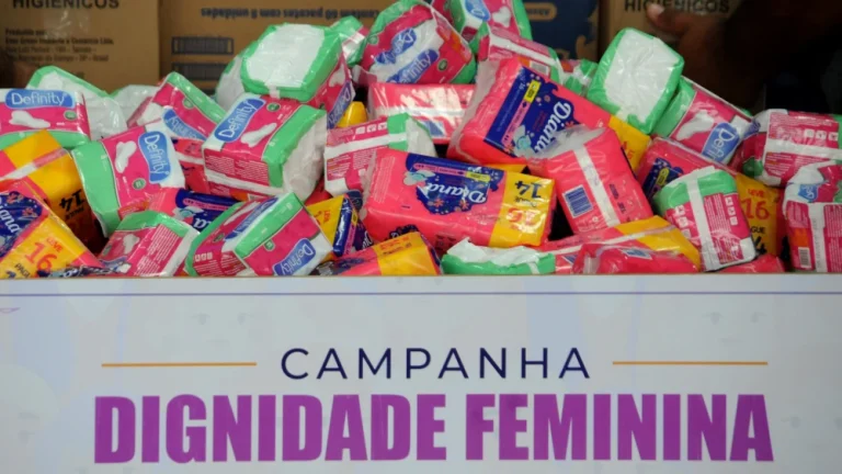 Dignidade Menstrual: Saiba como ter acesso a absorventes gratuitos pelo SUS.