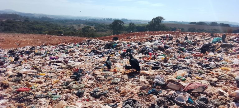 Política Nacional de Resíduos Sólidos: Três Corações, MG Avança, Mas Aterro Sanitário Ainda Apresenta Falhas.