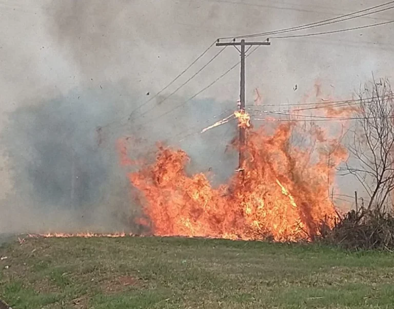 Aumento de Incêndios Agrava Ocorrências na Rede Elétrica em Minas Gerais.